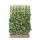 Kant en klaar haag Toscaanse Jasmijn (Trachelospermum Jasminoides) - 120x180 cm bxh