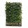 Kant en klaar haag Haagbeuk (Carpinus Betulus) 120x155 cm