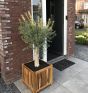 Hardhouten plantenbak Enjoyplanter Falco 50x50x50 cm