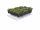Sempergreen sedumcassette lichtgewicht oplossing - 65 kg/m² (54 x 54 cm)