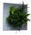 Livepicture verticale plantenbak 72 x 72 x 7 cm