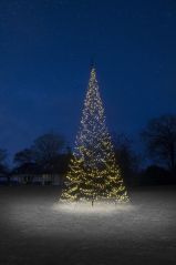 Fairybell kerstboom 600 cm. hoog met 600 LED-lampjes